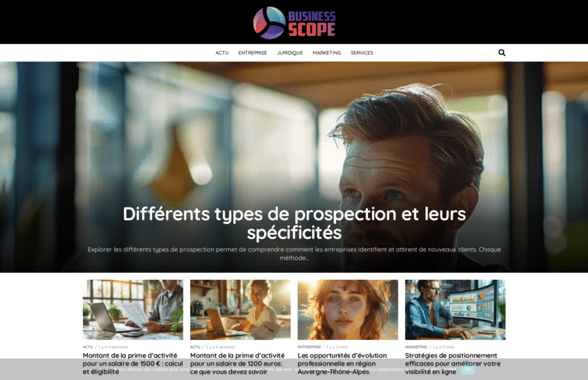 businessscope.fr